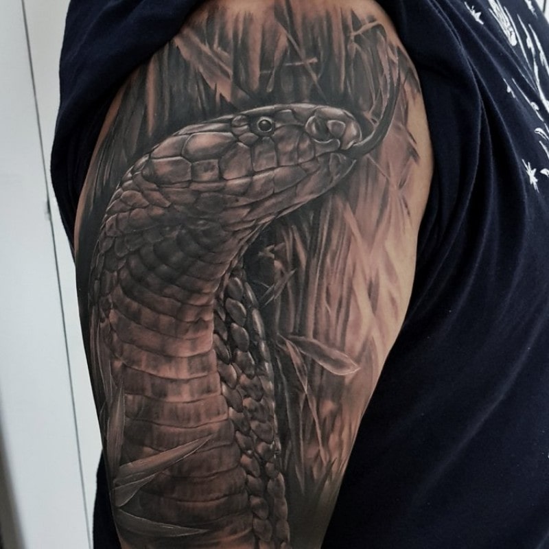 Inky Joe • Ornamental Tattoos Inspired by Wildlife Inky Joe • Ornamental Tattoos Inspired by Wildlife 15 October 2018