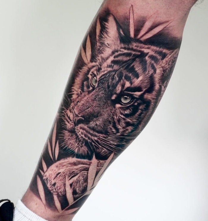 Omar Kamal Interview tiger tattoo