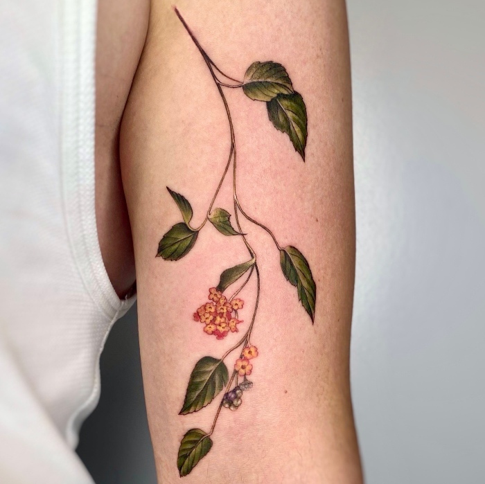 Noemy Cotardo Interview flower