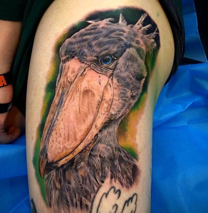 Wang Jun Interview Australian bird tattoo