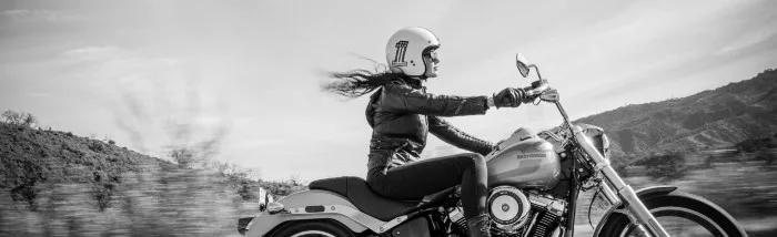 Ink & Wheels Big Show 2025 PHOTO 3