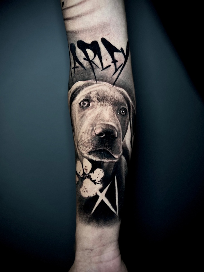 Aureus • The Universe of Neo Black & Grey Realism Aureus • The Universe of Neo Black & Grey Realism 9 June 2025