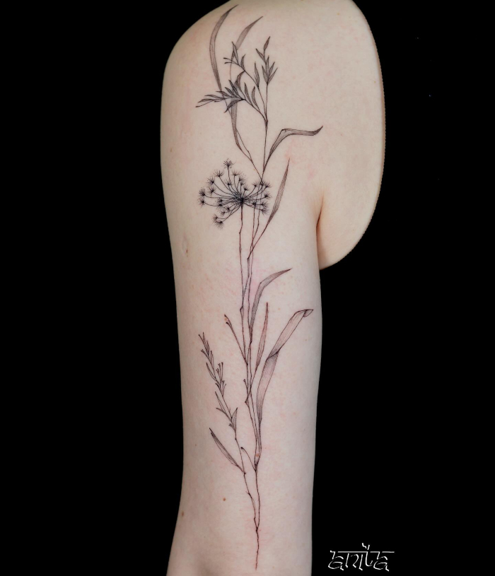 Anita Rossi • The Art of Human Connections & Tattooing 1 September 2025