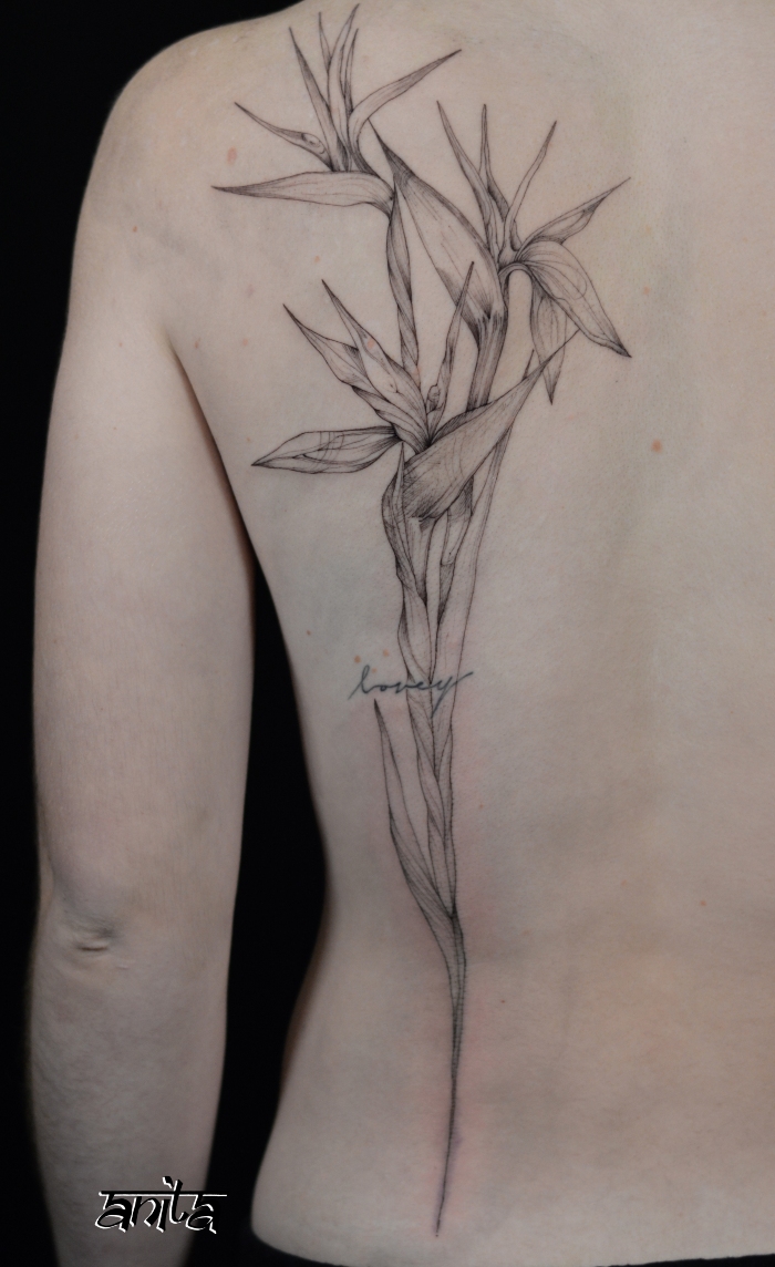 Anita Rossi • The Art of Human Connections & Tattooing 1 September 2025