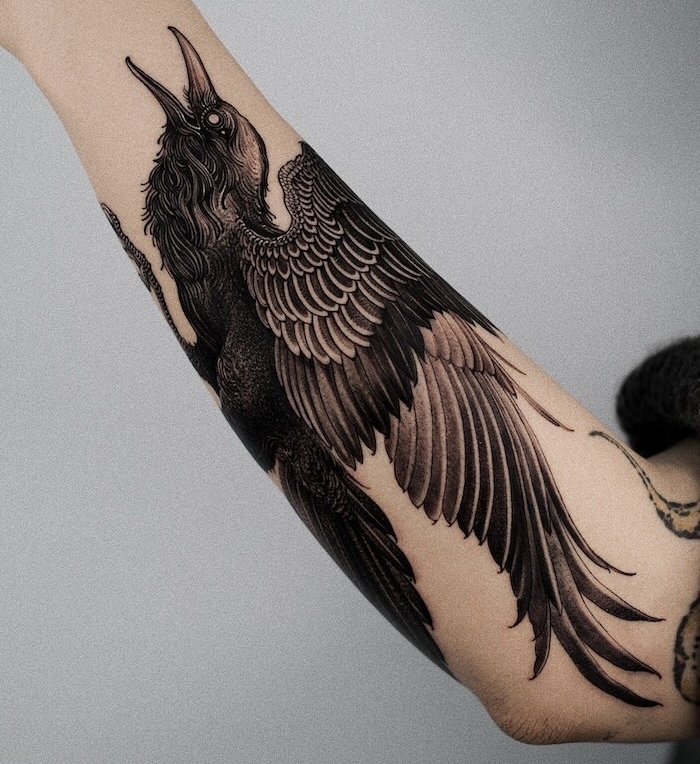 Hoon Kim • The Quiet Ascent of a Blackwork Champion 24 March 2026