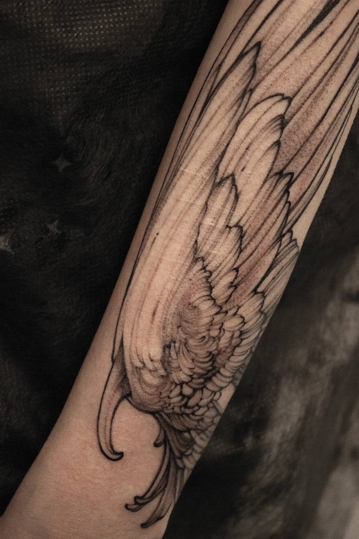 Polina Gajewsky • From Self-Taught Artist to Pioneer of Whip Shading 4 April 2026